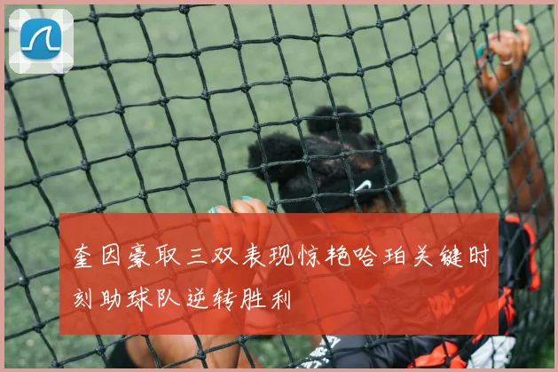 奎因豪取三双表现惊艳哈珀关键时刻助球队逆转胜利