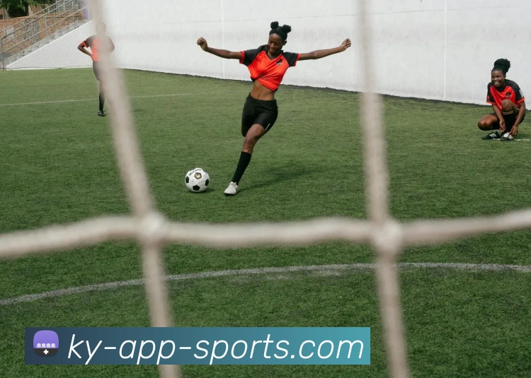 App Interface Preview