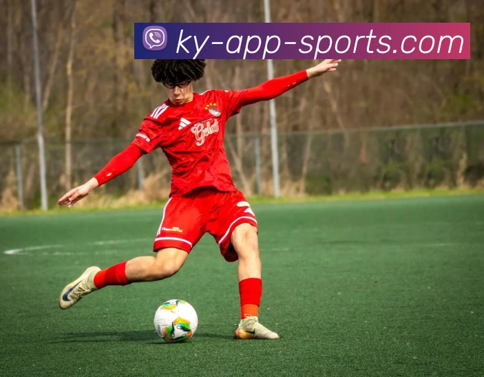 开云体育APP 封面图