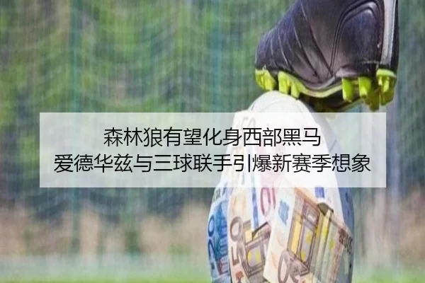森林狼有望化身西部黑马 爱德华兹与三球联手引爆新赛季想象 - kaiyun